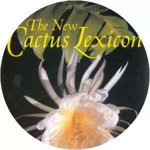 The New Cactus Lexicon photograph