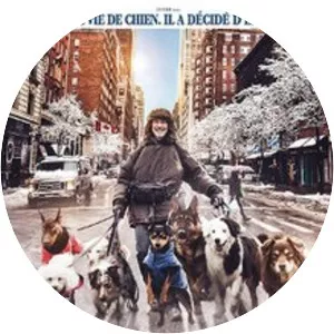 The New Life of Paul Sneijder - 2016 ‧ Drama ‧ 1h 54m