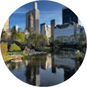 The New York Ripper, The Torso Killer