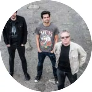 The Newtown Neurotics