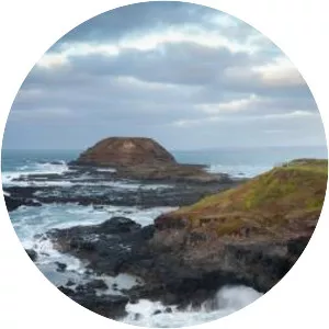 The Nobbies - Island in Australia