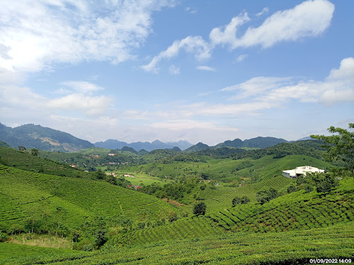 The Office Of People's Committee Of Van Ho District