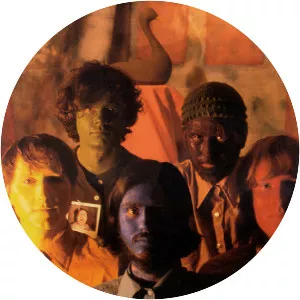 The Olivia Tremor Control