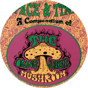 The Orange Alabaster Mushroom