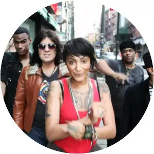 The Orion Experience