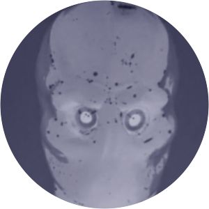 The Outer Limits The Galaxy Being