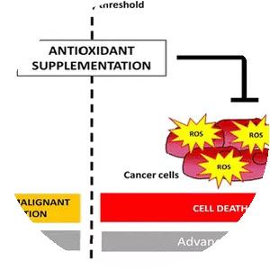 The Oxygen Paradox - Book
