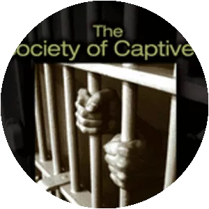 The Pains of Imprisonment