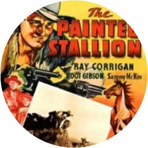 The Painted Stallion