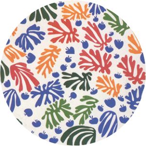 The Parakeet and the Mermaid