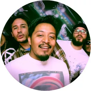 The Paranoias - Musical artist