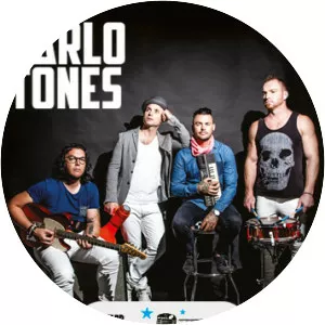 The Parlotones