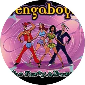 The Party Album - Studio album by Vengaboys