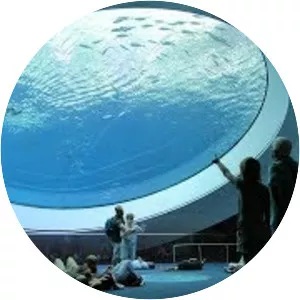 The Patricia & Phillip Frost Art Museum - 