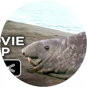 The Penguin King - 2012 ‧ Drama/Adventure ‧ 1h 18m