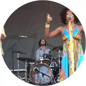 The People Brothers Band - Musical artist