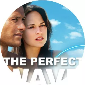 The Perfect Wave