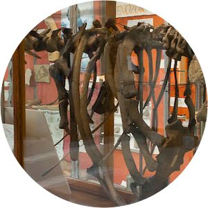 The Perkins Geology Museum Burlington