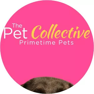 The Pet Collective: Primetime PetsSince 2019