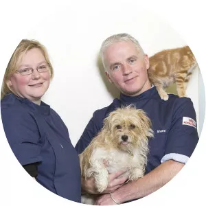 The Pet Surgeons - TV program