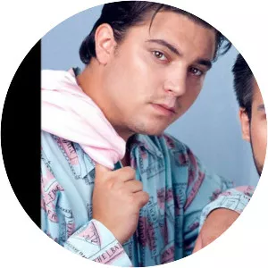 The Pilotwings - Musical band