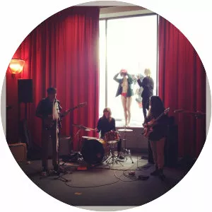 the pinc lincolns - Musical artist