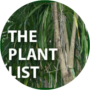 The Plant List - 