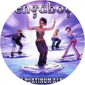 The Platinum Album - Studio album by Vengaboys