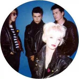 The Primitives