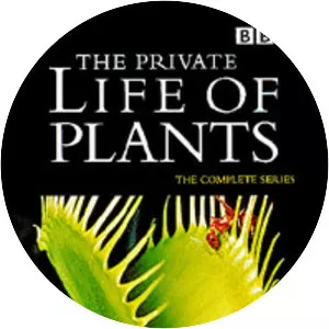 The Private Life of Plants - Television series
