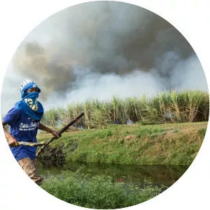 The Rabbit Hunt - 2017 ‧ Short/Action ‧ 12 mins