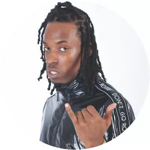 The RARA - Musical artist