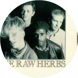 The Raw Herbs - Pop band