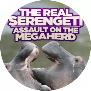 The Real Serengeti: Assault on the MegaherdSince 2006 - TV program