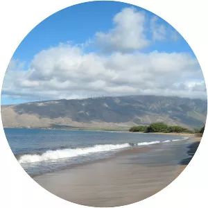 The Real Swiss Family Robinson