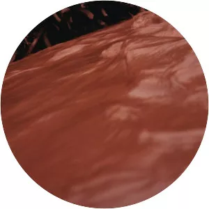 The Red River photograph