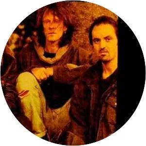 The Reegs - Musical group