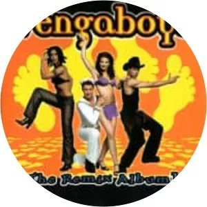 The Remix Album photograph