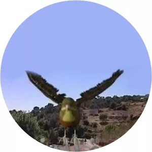 The Return of Alminyar - TV program