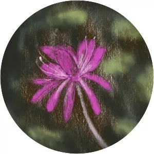 The Rhodora - Poem by Ralph Waldo Emerson