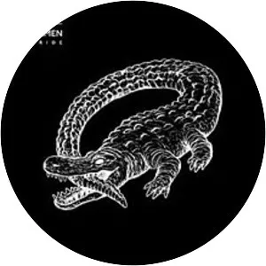 The Ride - Studio album by Catfish And The Bottlemen