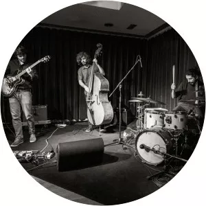 The Rite of Trio - Musical artist