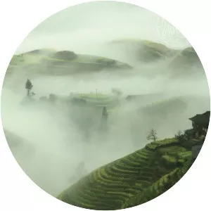 The River Monks - Pop band