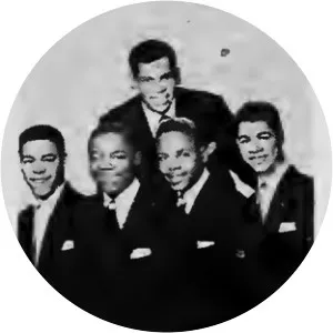 The Rivileers - Musical group