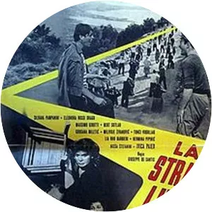 The Road a Year Long