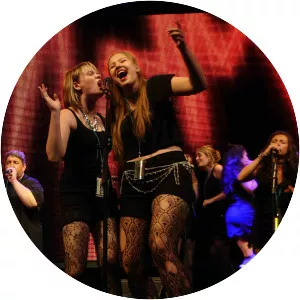 The Rock N Roll Chorus - Musical artist