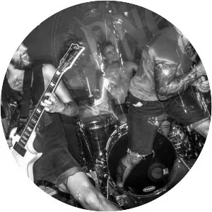 The Rodeo Idiot Engine