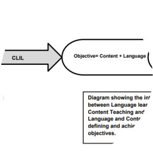 The Roles of Language in CLIL