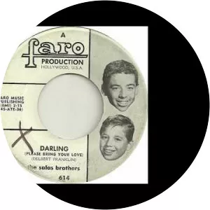 The Salas Brothers - Musical artist