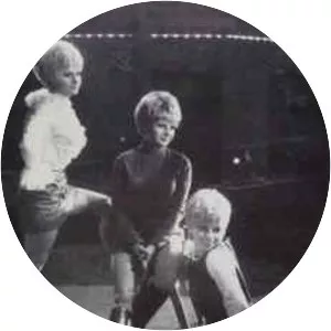 The Satin Bells - Musical group